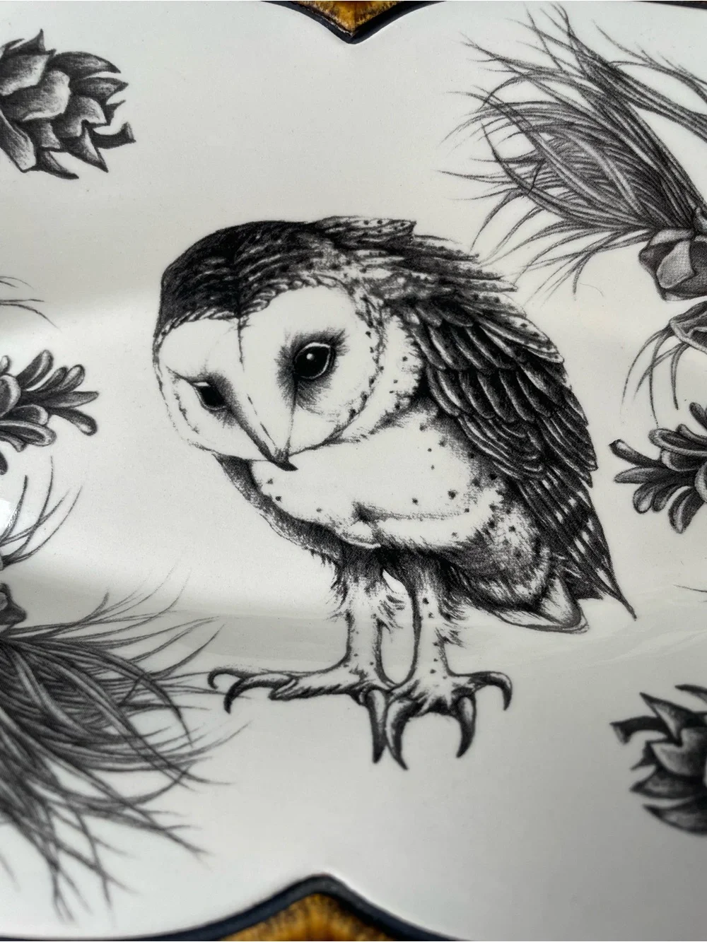 Laura Zindel Oblong Serving Dish: Barn Owl